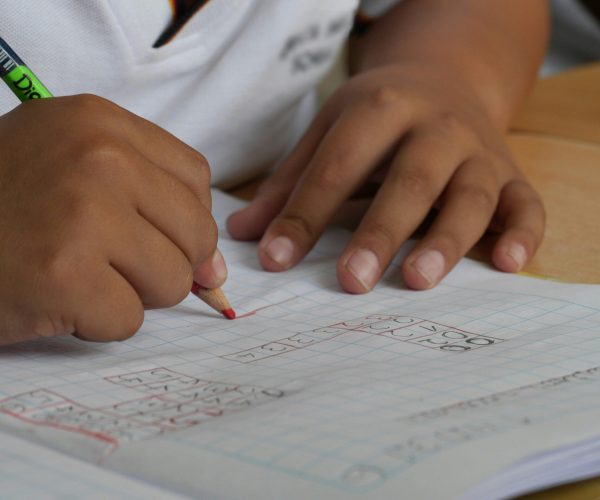 pexels-pixabay-207756