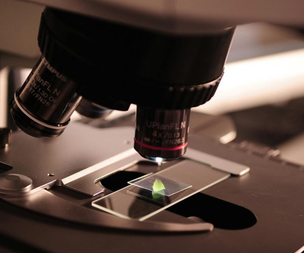 pexels-pixabay-256262